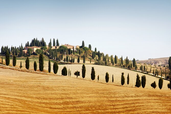 Vespa Tour with Lunch&Chianti Winery from Siena - Quick take: what makes this Vespa-to-Chianti day tick