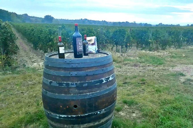 Vespa Tour with Lunch&Chianti Winery from Siena - Stop 1: Castellina in Chianti on Strada Statale 222 Chiantigiana