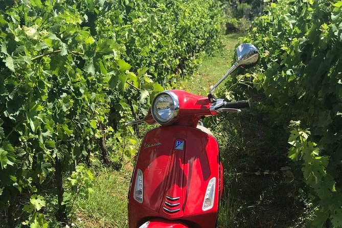 Vespa Tour with Lunch&Chianti Winery from Siena - Monteriggioni free time: medieval walls, easy wandering