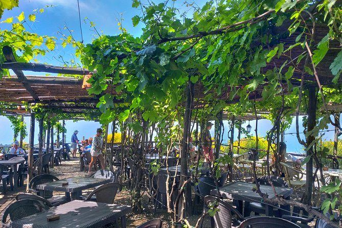 Vesuvius & Vineyard select from Sorrento - Who this tour fits best (and who should skip it)