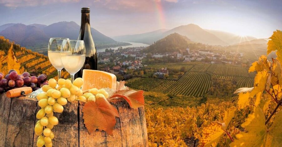 Vienna: Winery and Wine Tasting Tour with a Wine Expert - Vienna’s city-limit vineyards: what you’re really tasting