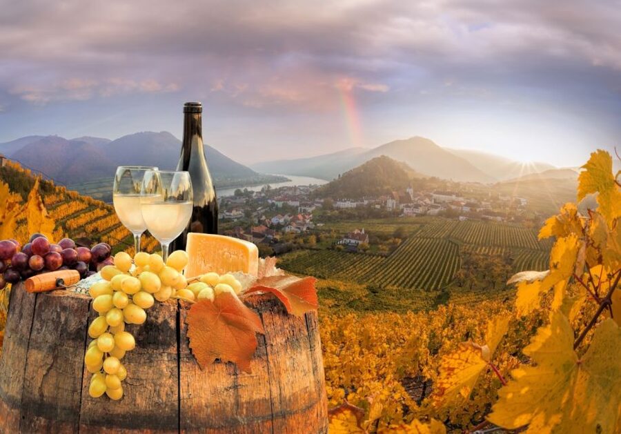 Vienna: Winery and Wine Tasting Tour with a Wine Expert - 3-hour option: five glasses, appetizers, and landmarks like Hofburg