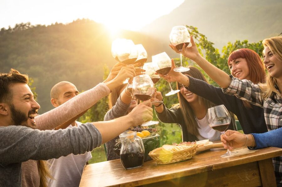 Vienna: Winery and Wine Tasting Tour with a Wine Expert - What you’ll do with all that wine: learning to taste without stress