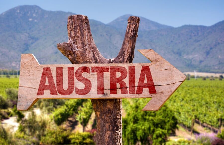 Vienna: Winery and Wine Tasting Tour with a Wine Expert - Small details that can make the day better