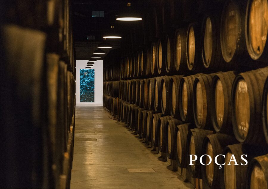 Vila Nova de Gaia: Winery Tour with 2 DOC Douro & 1 Port - DOC Douro tastings: Trava Línguas white and Reserve Red