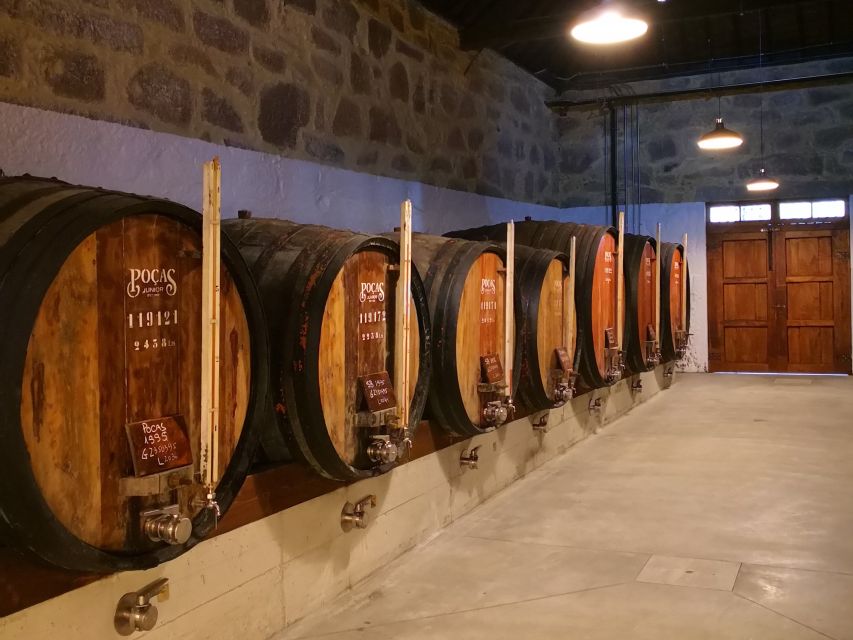 Vila Nova de Gaia: Winery Tour with 2 DOC Douro & 1 Port - Port tasting: White/Ruby or Reserve Tawny