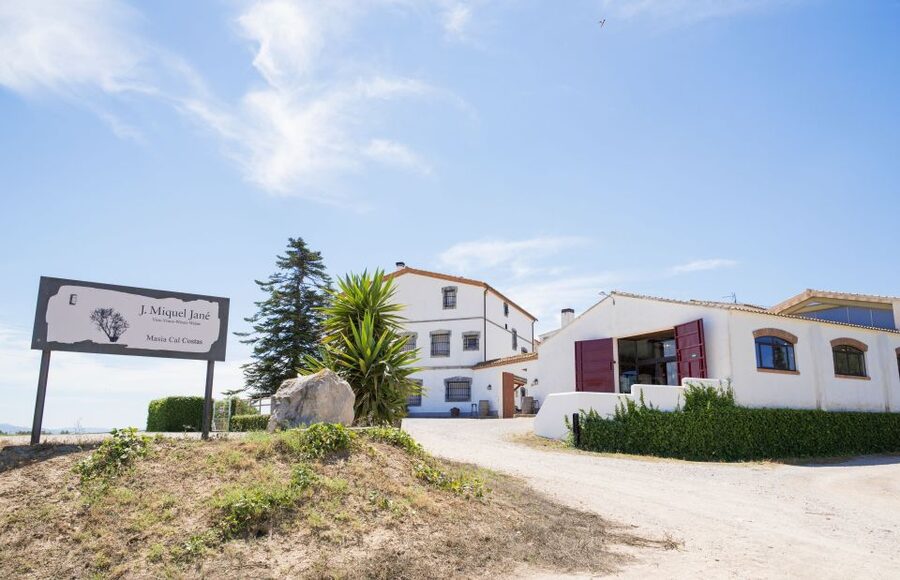 Vilafranca del Penedès: Winery Visit with Tastings - Key Highlights You’ll Actually Feel