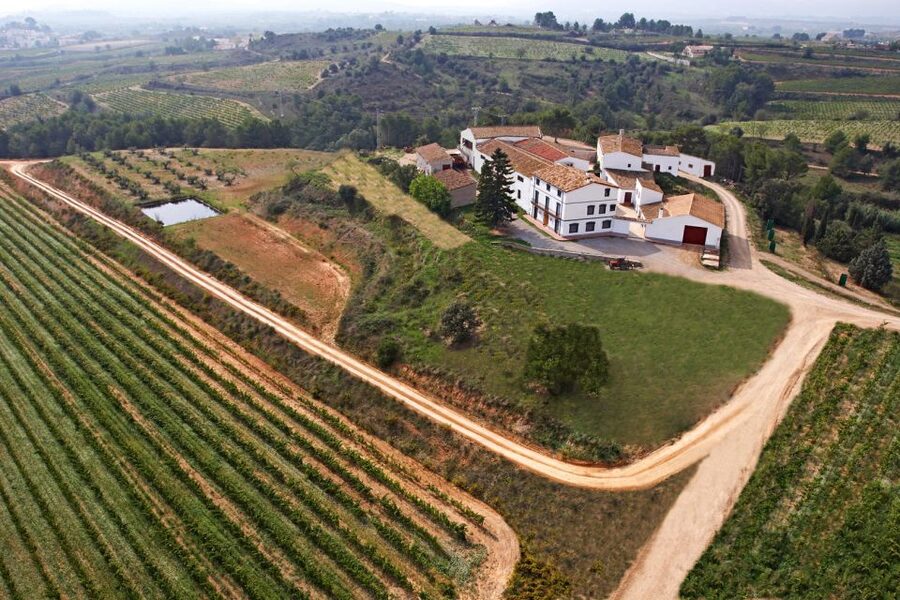 Vilafranca del Penedès: Winery Visit with Tastings - Aperitif Pairing: Cheese and Hams That Match the Moment