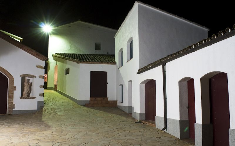 Vilafranca del Penedès: Winery Visit with Tastings - Price and Value: Why This Often Feels Fair