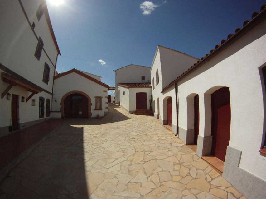Vilafranca del Penedès: Winery Visit with Tastings - Practical Tips Before You Go (So the Day Goes Smooth)