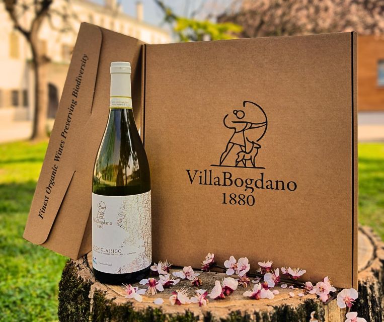 Villa Bogdano 1880: Guided Winery Tour and Tasting - Key highlights at Villa Bogdano 1880