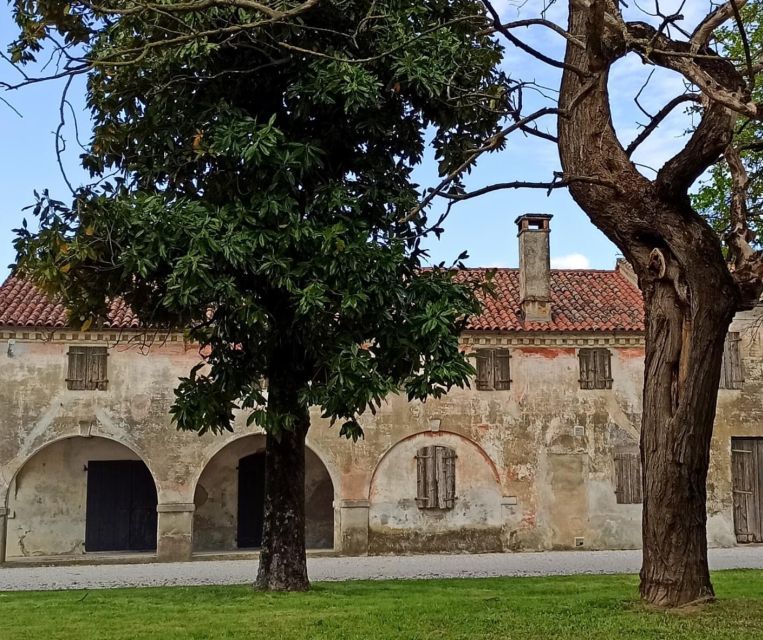 Villa Bogdano 1880: Guided Winery Tour and Tasting - Why Villa Bogdano 1880’s Pramaggiore Setting Feels Special