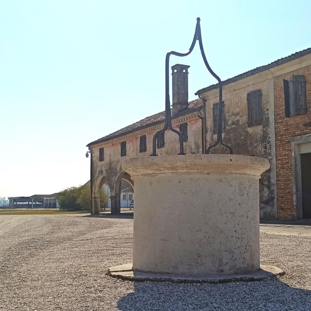 Villa Bogdano 1880: Guided Winery Tour and Tasting - Historic Vineyards and the Cellar You Can Actually Visualize