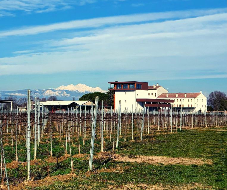 Villa Bogdano 1880: Guided Winery Tour and Tasting - Wine Tasting: 3 Villa Bogdano 1880 Labels with Bakery Pairings