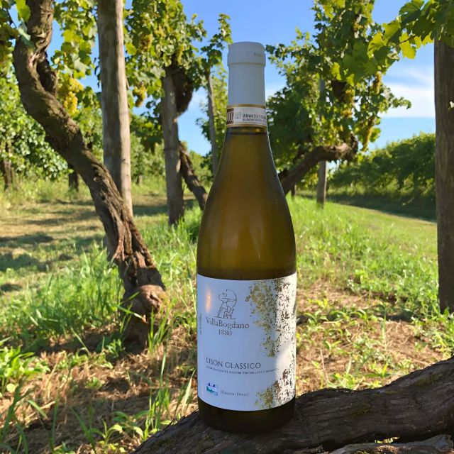 Villa Bogdano 1880: Guided Winery Tour and Tasting - Getting There from Venice and the Coast: Driving Math That Helps