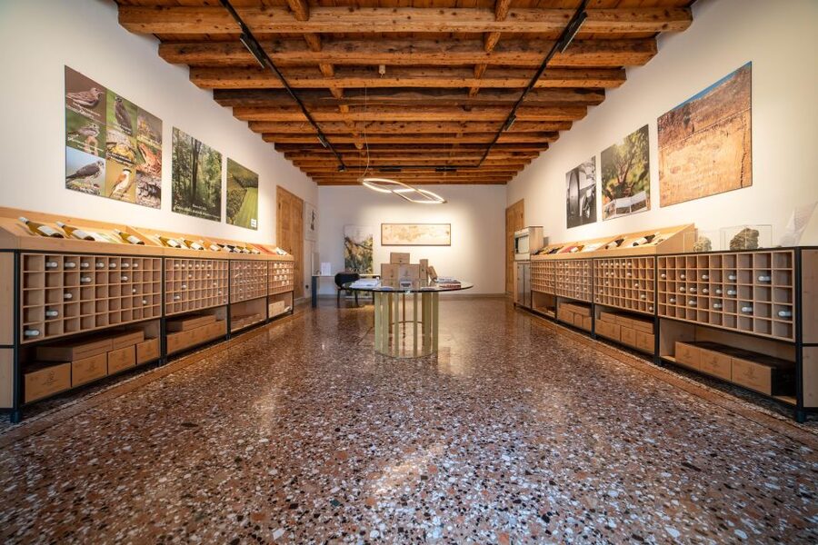 Villa Bogdano 1880: Guided Winery Tour and Tasting - Who This Tour Suits Best (and Who Might Want Something Different)