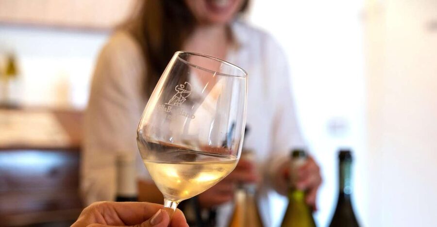 Villa Bogdano 1880: Guided Winery Tour and Tasting - The 2-Hour Flow: Tour, Terrace Views, Tasting in One Smooth Rhythm