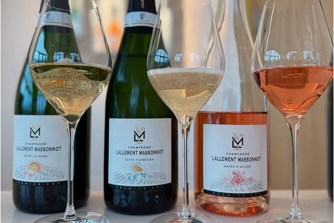 Vineyard and Triple Tasting First Cru in the Mountains of Reims - Quick highlights you’ll actually use