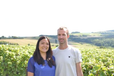 Vineyard and Triple Tasting First Cru in the Mountains of Reims - Vineyard storytelling: terroir, history, and the people behind it