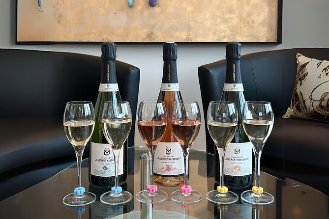 Vineyard and Triple Tasting First Cru in the Mountains of Reims - Price and value: what $30.04 buys you in real terms