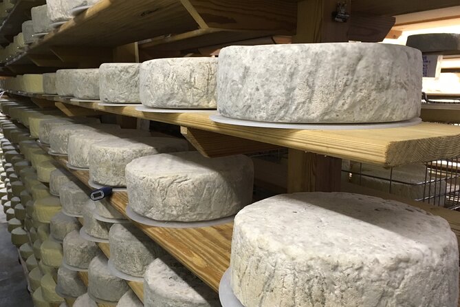 Vineyard & Cheesemaker Bus Tour of Sussex - Stop 1 at Court Gardens Farm: From Grape to Glass