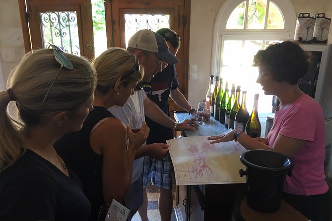 Vineyard cycle tours in and around Chinon, in the Loire Valley - Key highlights worth planning around