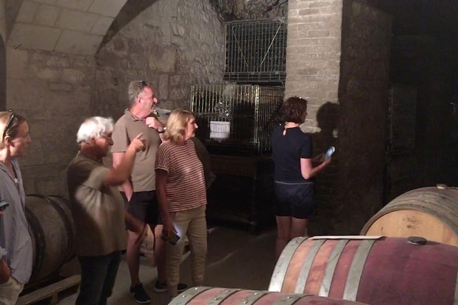 Vineyard cycle tours in and around Chinon, in the Loire Valley - The included picnic: your energy plan between tastings