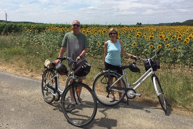 Vineyard cycle tours in and around Chinon, in the Loire Valley - Small-group tour culture: why the group size matters