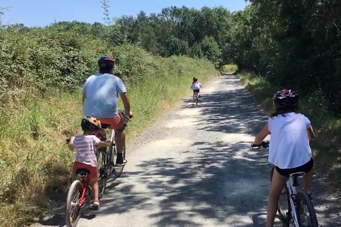 Vineyard cycle tours in and around Chinon, in the Loire Valley - Price and value: what you’re paying for at about $156.20