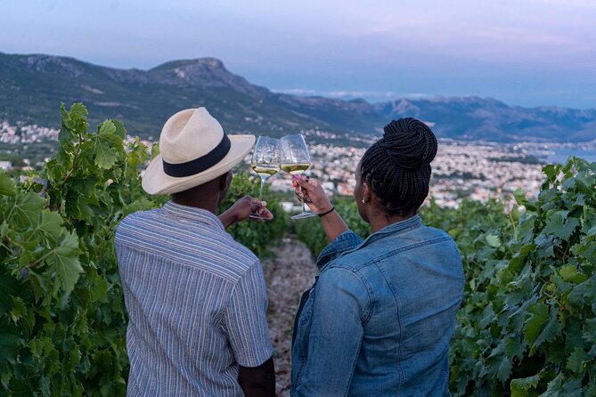 Vineyard Experience: Wine Tasting near Split - Key moments that make this tasting worth your time