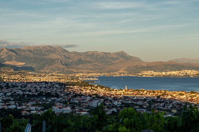 Vineyard Experience: Wine Tasting near Split - The traditional family vineyard setting: where the tasting really happens