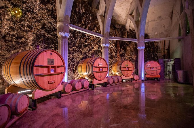 Vineyard of the Alpilles by bike - Price and value: $65.02 for a full day with a tasting stop