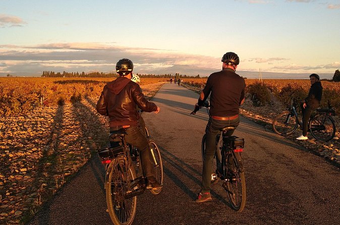 Vineyard of the Alpilles by bike - Who this tour suits best (and who should think twice)