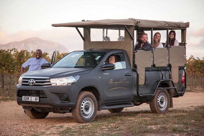 Vineyard Safari and Wine Tasting in Hermanus with Guide - Key highlights