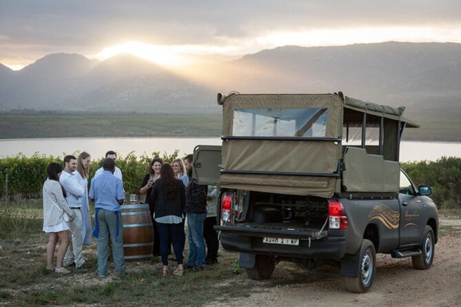 Vineyard Safari and Wine Tasting in Hermanus with Guide - Why Benguela Cove feels different from a typical wine stop