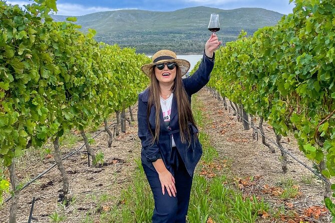 Vineyard Safari and Wine Tasting in Hermanus with Guide - Wine tasting that connects to what you’re seeing