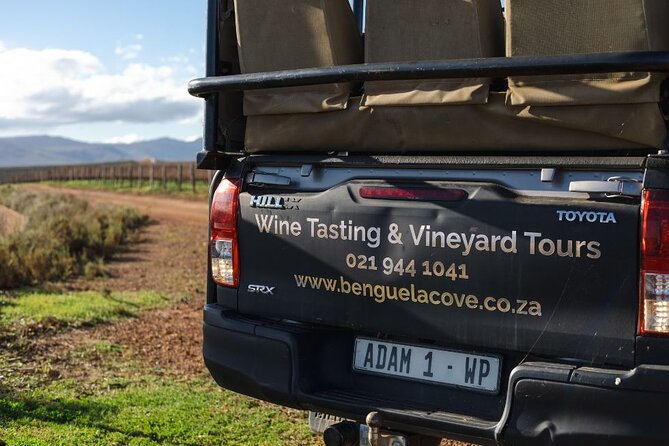 Vineyard Safari and Wine Tasting in Hermanus with Guide - Price and value: $26.02 for a lot of wine education