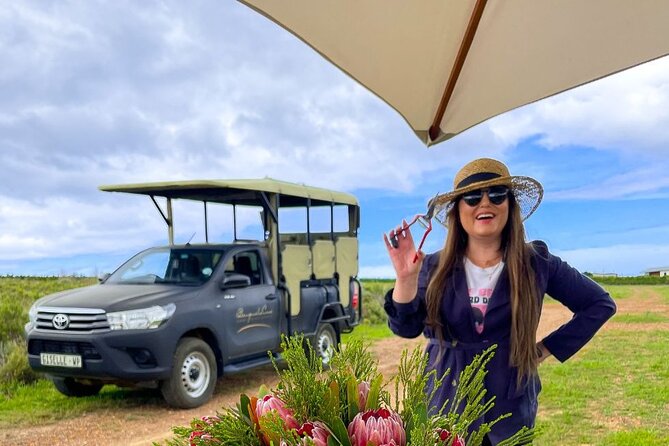 Vineyard Safari and Wine Tasting in Hermanus with Guide - Who this tour fits best (and who may want something else)