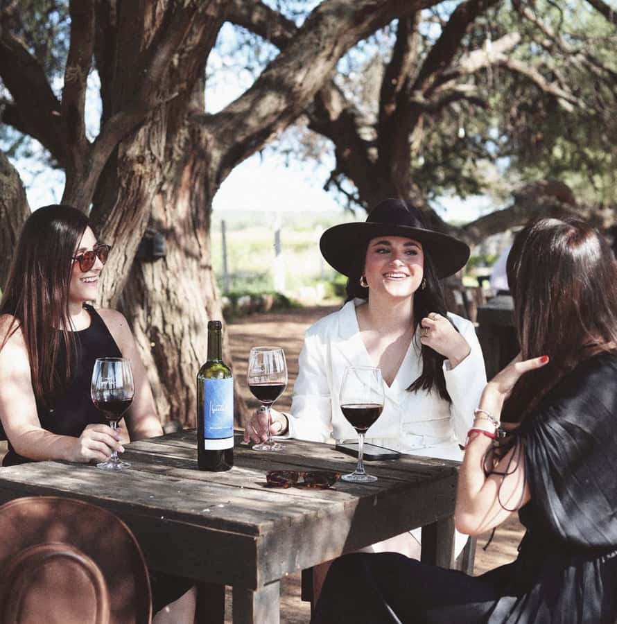 VINEYARD TOUR - Aguascalientes Vineyards in 7 Hours: A Realistic Wine Day Plan