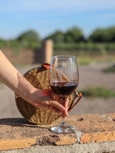 VINEYARD TOUR - Getting There: Hotel Pickup, a Clear Meeting Point, and AC Comfort