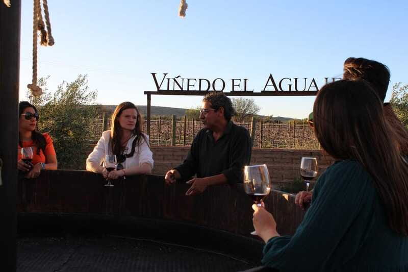VINEYARD TOUR - Guides, Language Support, and the Private-Day Possibility