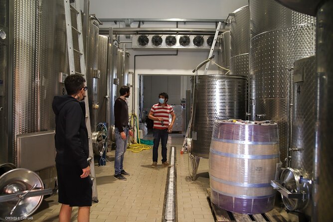 Vineyard Tour and Tasting of Lugana Wines - The Tasting Menu: Four Lugana-Style Bottles Plus Snacks