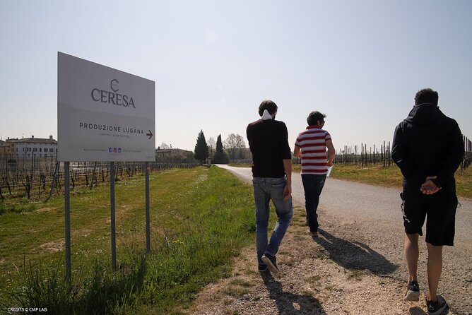 Vineyard Tour and Tasting of Lugana Wines - Who This Experience Suits Best (And Who Might Pass)