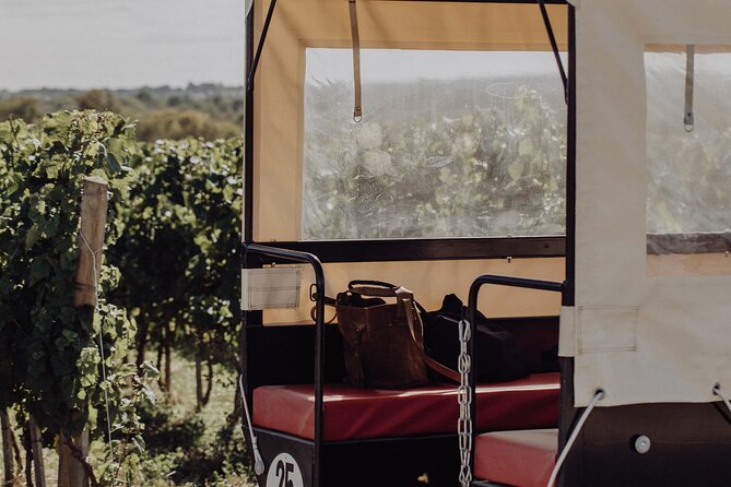 Vineyard tour and wine tasting in Davron - Caroline’s English and what that means for your actual experience