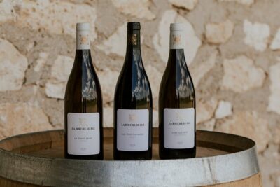 Vineyard tour and wine tasting in Davron - Three tastings and a tasting lesson you can reuse