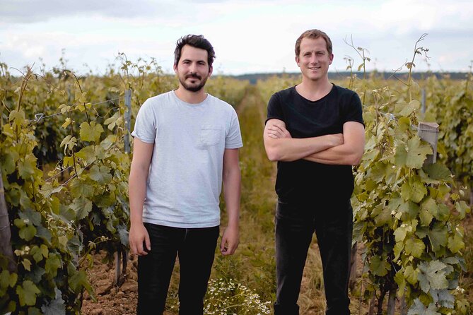 Vineyard tour and wine tasting in Davron - Outdoor comfort: the small details that prevent big frustration