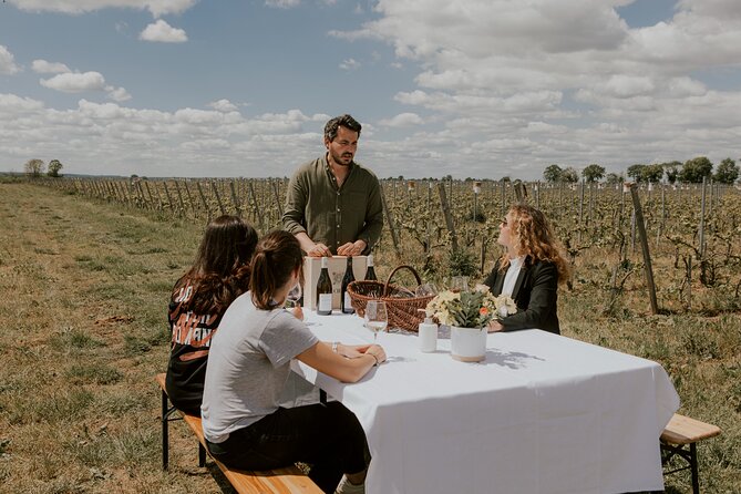Vineyard tour and wine tasting in Davron - Who this tour suits best