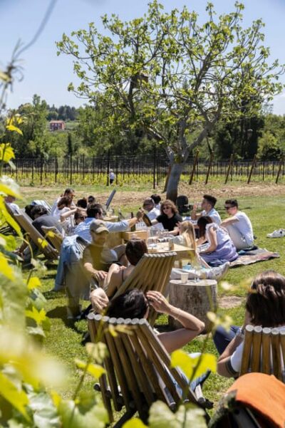 Vineyard Tour and Winery Visit with Tasting of Wines of Romagna - Enio Ottaviani: a winery where the family name is part of the product