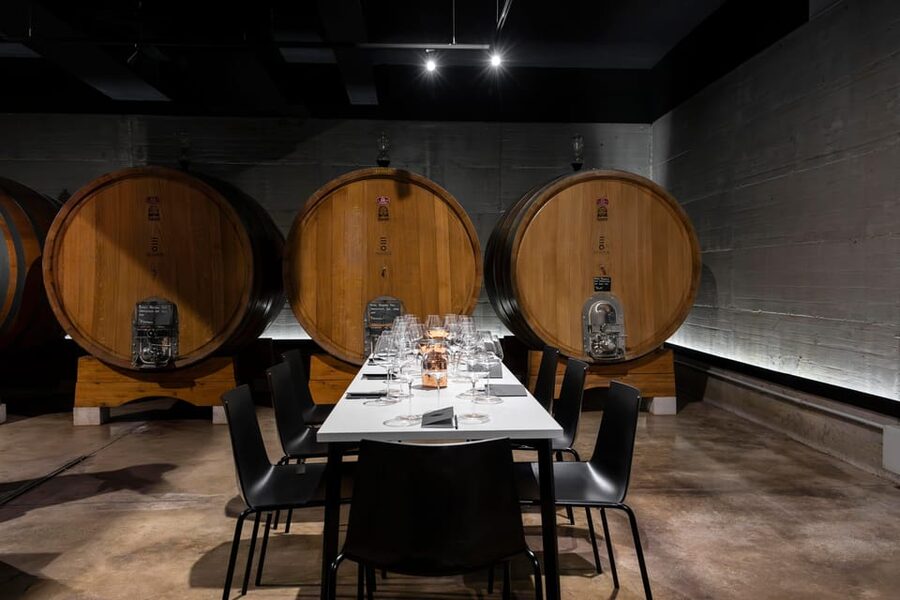 Vineyard Tour and Winery Visit with Tasting of Wines of Romagna - Tasting strategy: choose your route and make the wines mean something