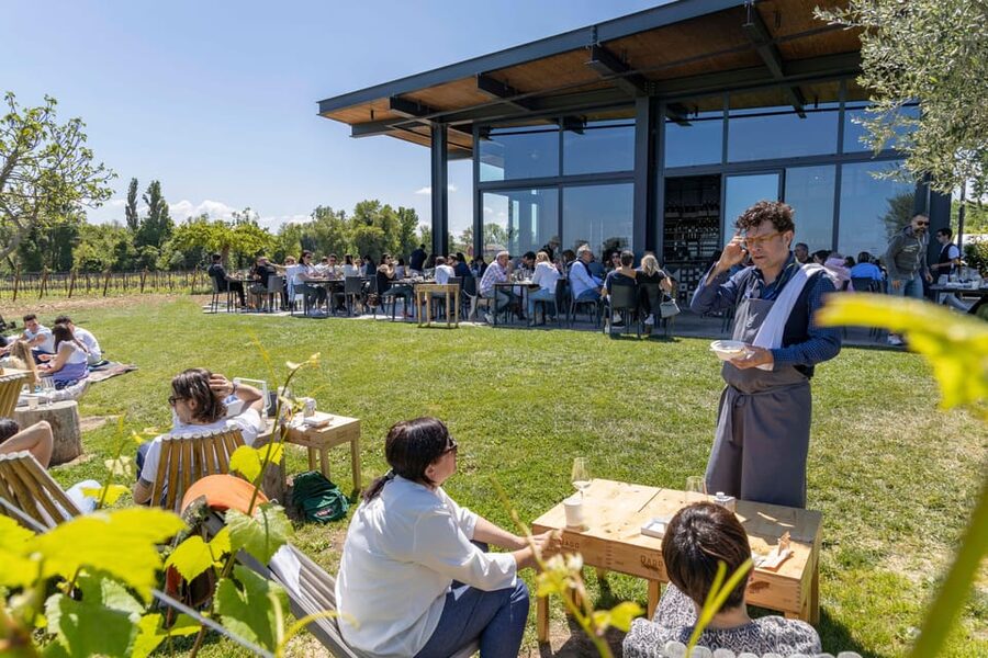 Vineyard Tour and Winery Visit with Tasting of Wines of Romagna - How long it takes, and what group size changes about the experience